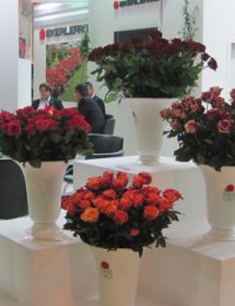 İSTANBUL FLOWER SHOW FUARI 2011 - CNR 