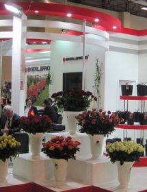 İSTANBUL FLOWER SHOW FUARI 2012 - CNR 