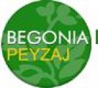 Begonia Peyzaj