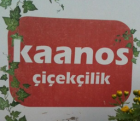 KAANOS ÇİÇEKÇİLİK
